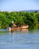 tropical rainforest, riverboating, Jamaican river