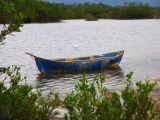 tropical bird, lake view, tropical birds, wooden canoe