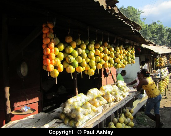 orange vendor