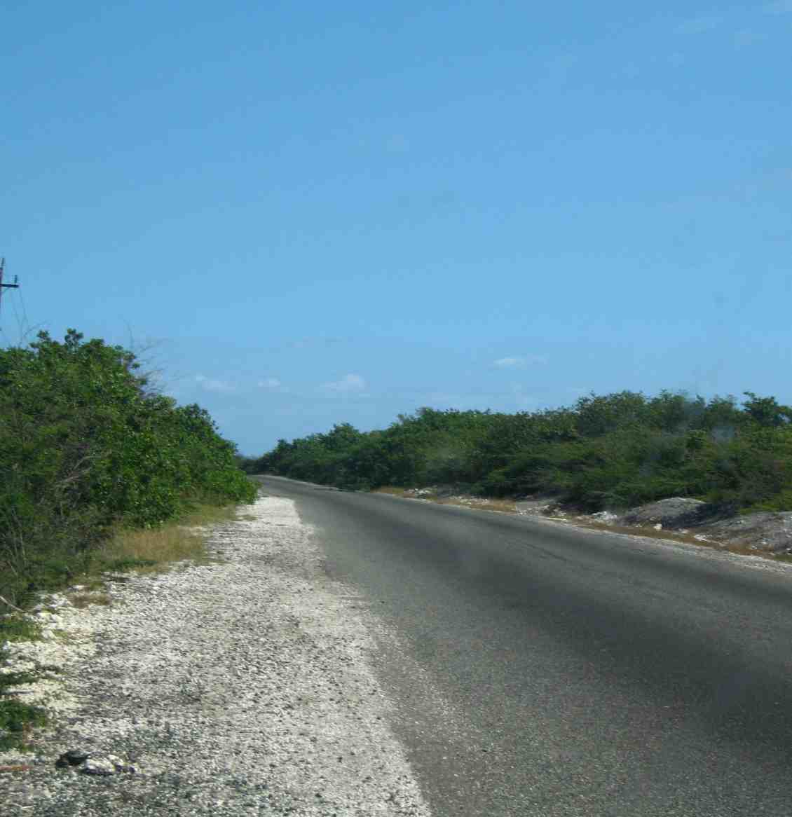 port royal road