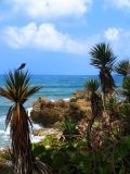 tropical beach background, Jamaica south coast,Portland Jamaica