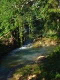 forest river, down by the river, peaceful stream