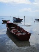 canoe pictures