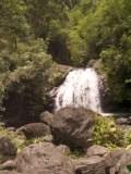 waterfall photos, tropical rainforest, waterfall backgrounds