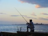 tropical pictures, kingston jamaica, caribbean sea