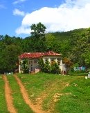 Old House, tropical house, tropical trees